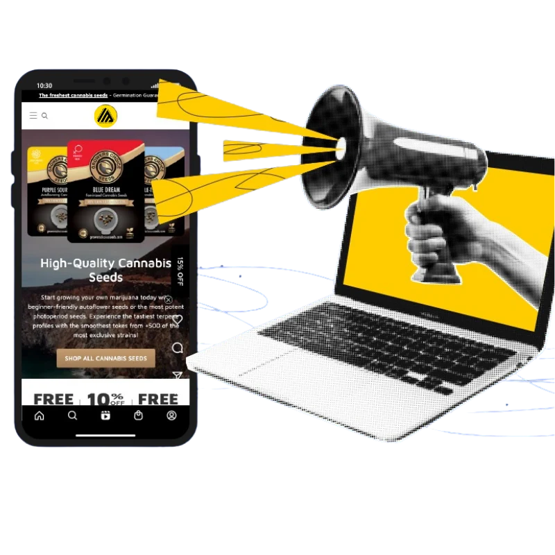 optimasi seo website bisnis bali